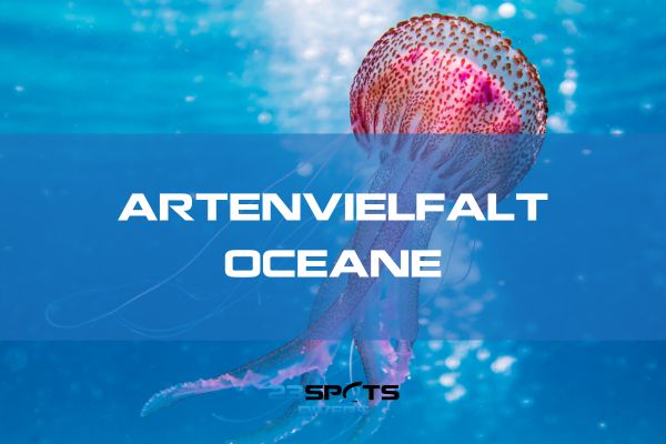 Artenvielfalt der Ozeane