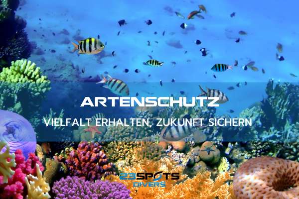 Artenvielfalt bewahren