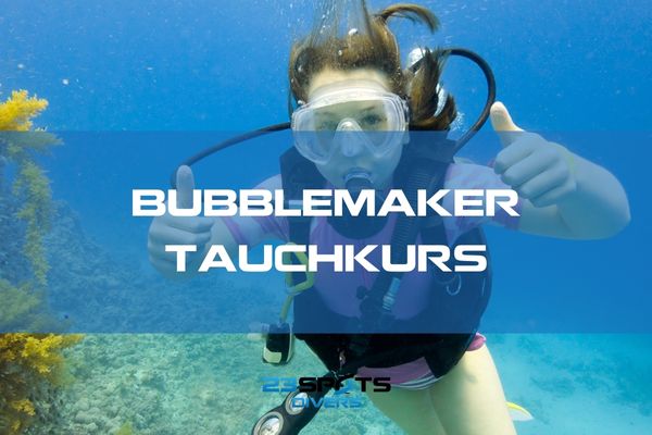 Bubblemaker Zertifikat Kind
