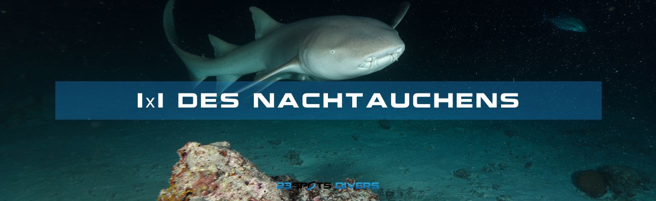 Das kleine 1×1 des Nachttauchens