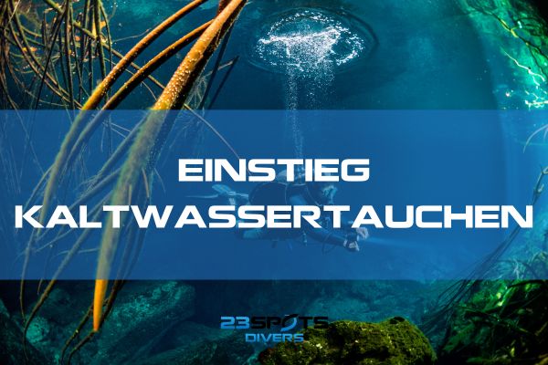 Einstieg ins Kaltwassertauchen
