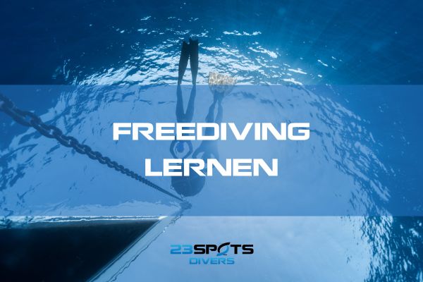 Freediving Buddy System