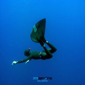 Freediving Monoflosse