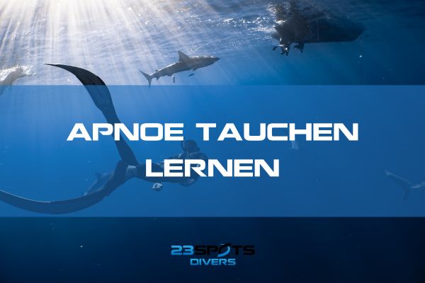 Freediving Praxisübungen
