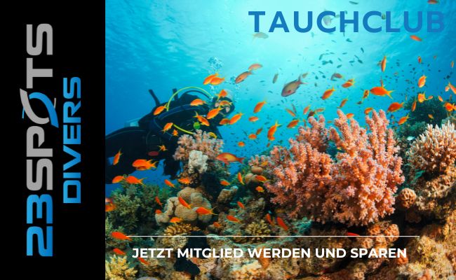 Mitglied werden 23SpotsDivers Tauchclub