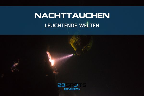 Nachttauchen leuchtende Welten