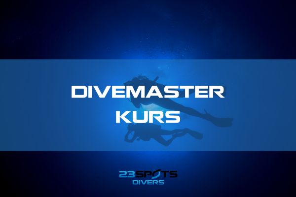 Nachttauchgang Divemaster