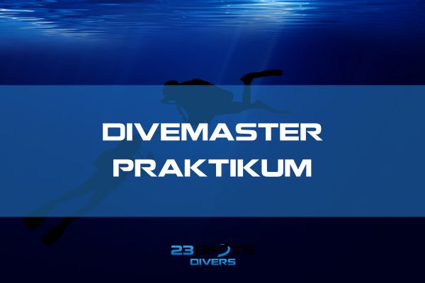 Nachttauchgang Divemaster Praktikum