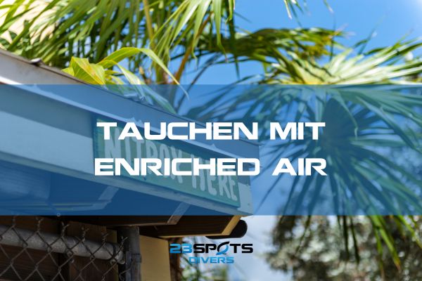 Nitrox Zertifikat Abschluss