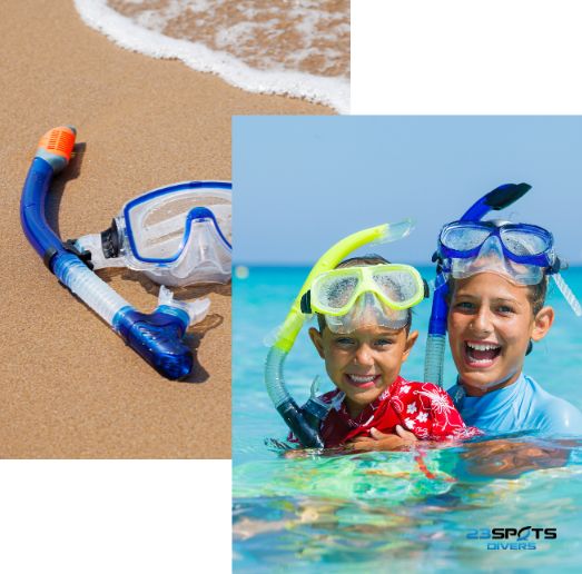 Ocean Snorkel Diver Zertifikat