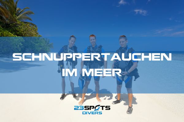 Schnuppertauchen im Meer
