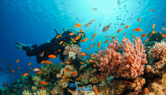 Scuba Diver