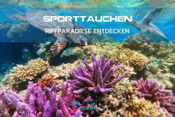 Sporttauchen Riffparadiese entdecken