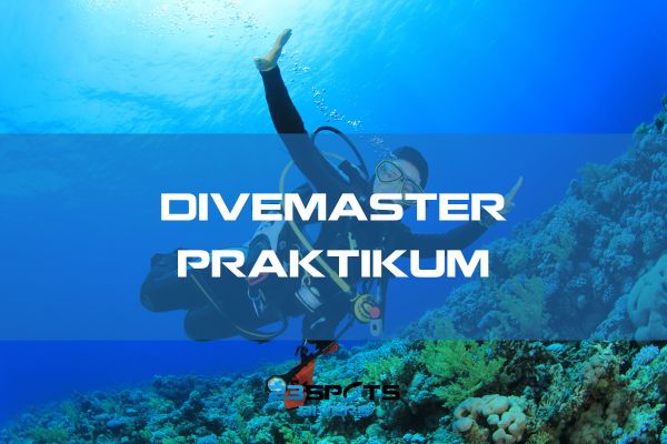 Strömungstauchen Divemaster