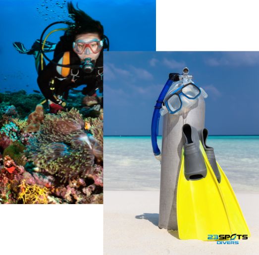 Zertifikat Master Scuba Diver