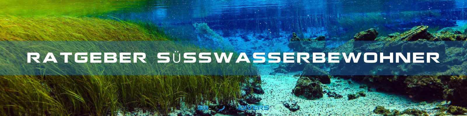 aussergewöhnliche Süßwasserbewohner Ratgeber